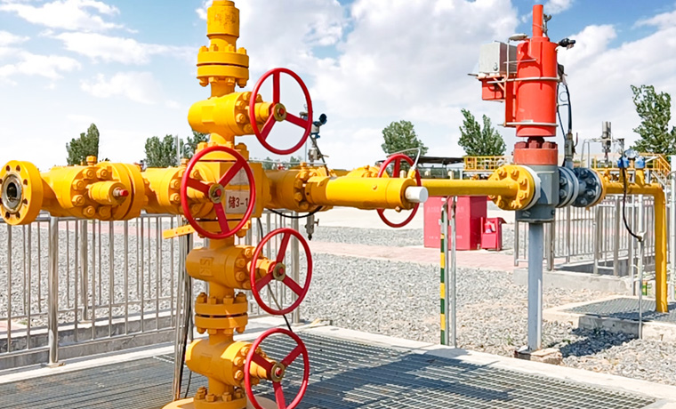 Integrated Wellhead Device Solution for Injection and Production